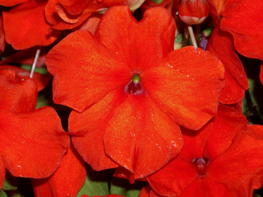 641455 (a): :2200x1650